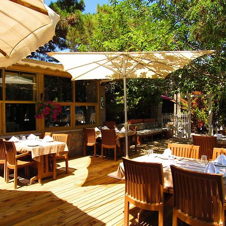 Assos Hunters Hotel (Adults Only) 外观 照片